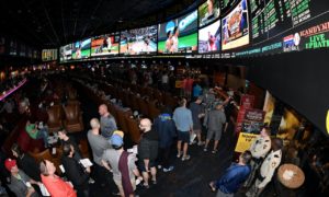 Pipslay sports betting study