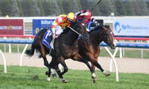 Michigan horse racing
