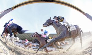 horse betting