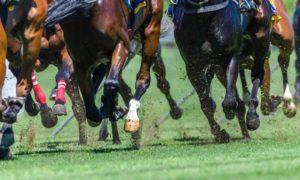 historical horse racing