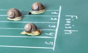 michigan online gambling