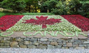 Canada sports betting