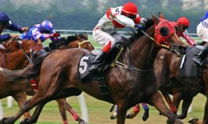 historical horse racing