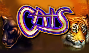 CATS slots in Michigan