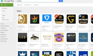 google play store