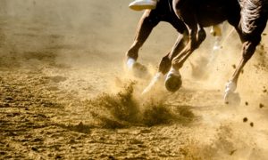 Michigan Historical Horse Racing June 2021