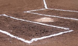 Michigan Minor League Baseball Betting