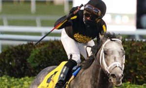 Knicks Go, ridden by jockey Joel Rosario