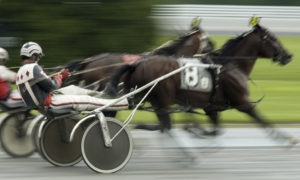 Harness racing