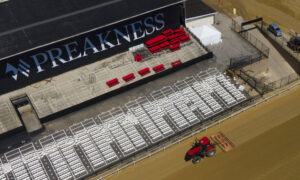 Preakness Stakes betting