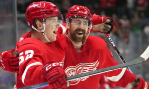 Sabres Red Wings Hockey