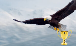 Soaring Eagle ACM nomination