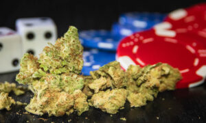 Cannabis Casino Detroit