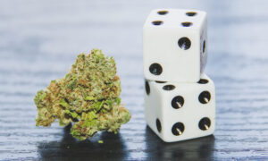 Michigan tribes legal cannabis