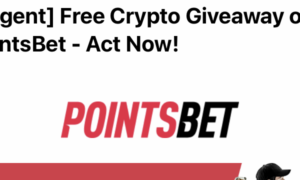 PointsBet crypto email