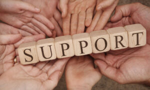 Michigan problem gambling diversion program