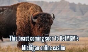 Buffalo