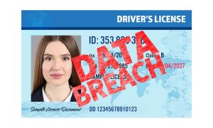 Image of a driver's license, as driver's license numbers were included in MGM data breach, affecting MGM Grand Detroit customers