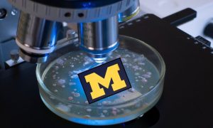 University of Michigan football program is under the microscope