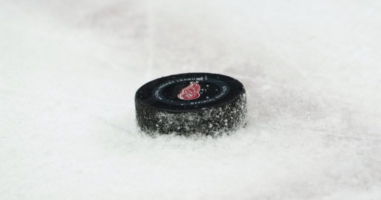 Puck with logo for Detroit Red Wings, which will be the theme of a new Play'n GO game coming to PokerStars Casino in Michigan
