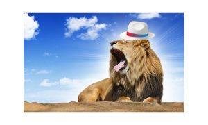 A roaring lion is wearing a white hat to reflect a deal between White Hat Studios and BetMGM's online casino in Michigan