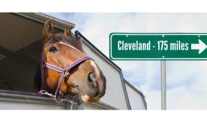 Horse sticking its head out of a trailer window. There is a green directional sign that reads Cleveland 175 miles on it to indicate horses leaving Michigan because Northville Downs, the state's last remaining track is due to close.