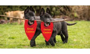 Two puppies carrying a stick together. One puppy is wearing a red bandana with the words "Retails Casinos" and the other is wearing a red bandana with the words "Online Casinos." Retail Casinos In Michigan Not Cannibalized By Online Casinos, Says EKG Report