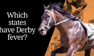 Photoshopped image of a horse at the Kentucky Derby with text that asks Which States Have Derby Fever