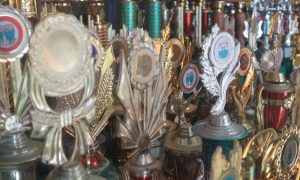 Many trophies in a trophy case. Don't Regret the Bet's latest honor is a PRNEWS Digital Award for finishing first in the Facebook Platform Presence category. It is the campaign's seventh award