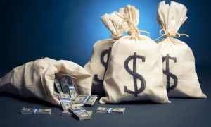 Several bags of money