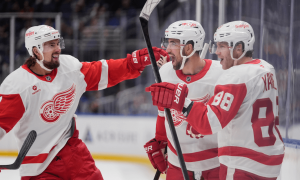 detroit red wings celebrate