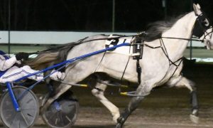 horse racing at Northville Downs
