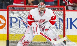 red wings goalie petr mrazek