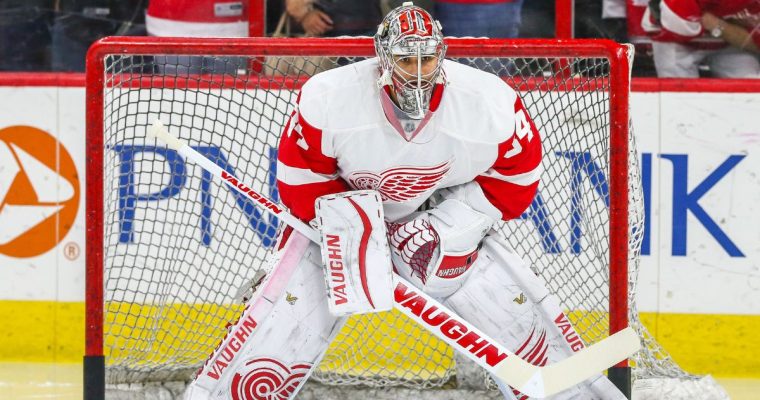 red wings goalie petr mrazek