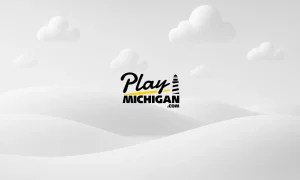 PlayMichigan Placeholder