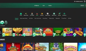 bet365 Casino Michigan
