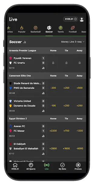 Michigan bet365 Sportsbook app