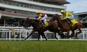 two racehorses in a photo finish at the track