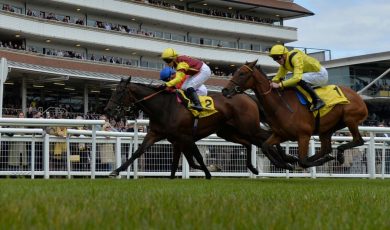 two racehorses in a photo finish at the track