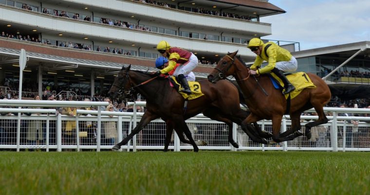two racehorses in a photo finish at the track